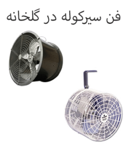فن سیرکوله در گلخانه