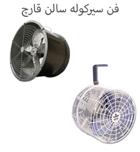 فن سیرکوله سالن قارچ
